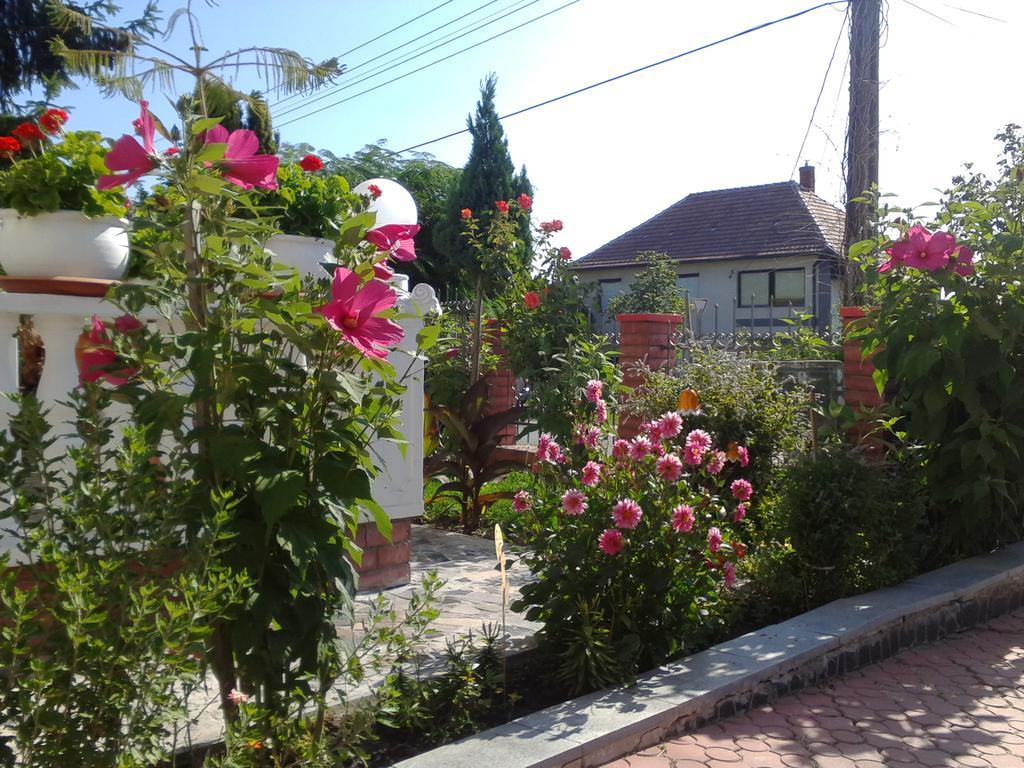 Kristaly Apartman Bed & Breakfast Hévíz Exterior foto